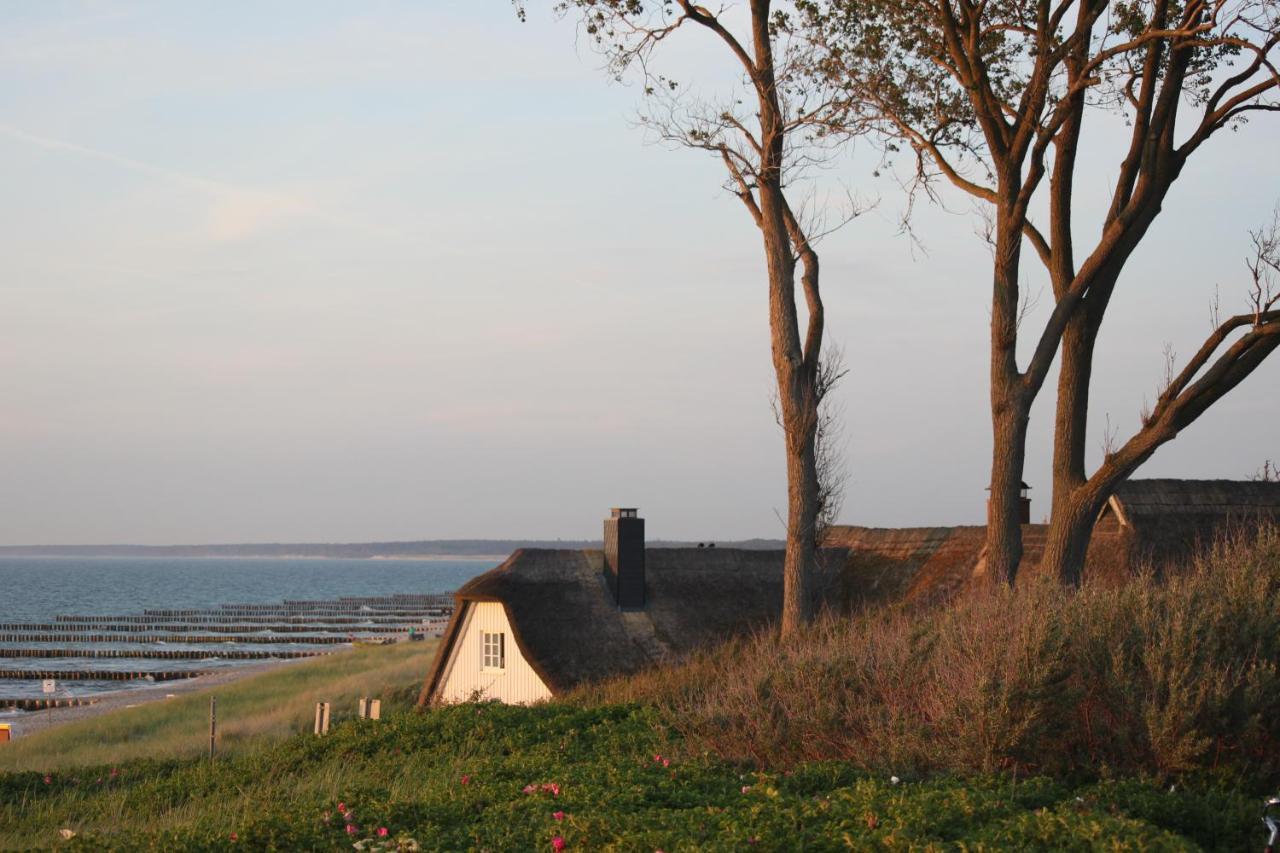 Dat Dardel Hus Борн Екстер'єр фото